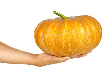 Image showing Hand holding orange pumpkin