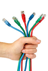 Image showing Bunch of different colored patch-cords gripped in fist