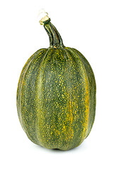 Image showing Green pumpkin