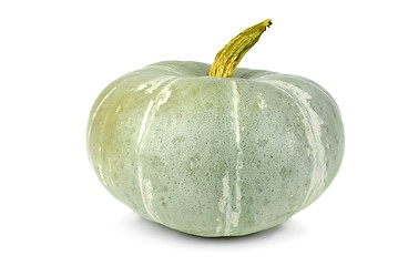 Image showing Unripe green pumpkin