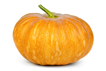 Image showing Orange pumpkin