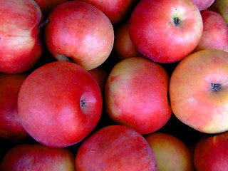 Image showing Apple