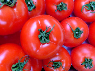 Image showing Tomato 2