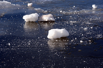 Image showing Winter Details