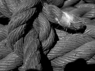 Image showing Sailors rope (2)
