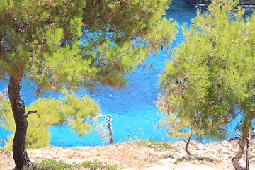 Image showing Pine tree on the beach 