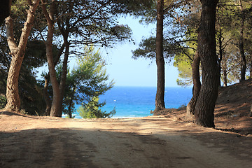 Image showing Road by the sea 