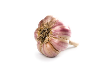 Image showing head of garlic 