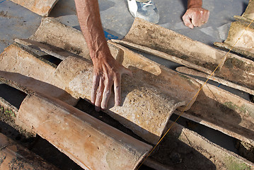 Image showing Roof thatcher