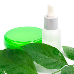 Image showing cosmetic products with green leaf 