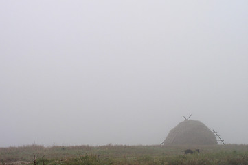 Image showing Fog