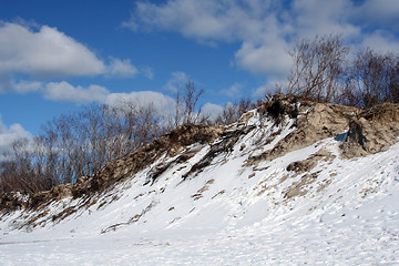 Image showing Winter Scene