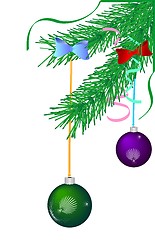 Image showing Green Christmas pine