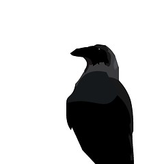 Image showing Realistic illustraton of black raven