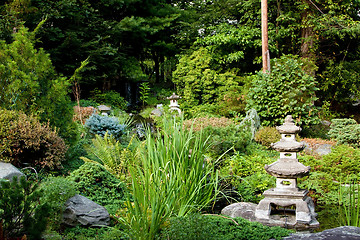 Image showing Peaceful Japanese garden