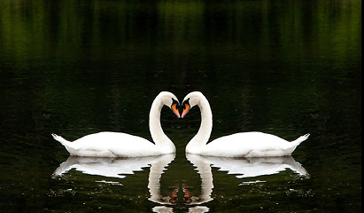 Image showing Romantic Swans