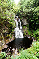 Image showing Forest waterfall