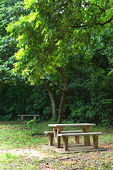 Image showing picnic place