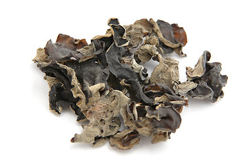 Image showing black fungus