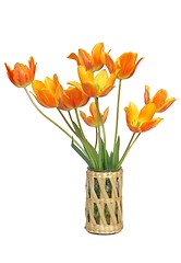 Image showing Tulips