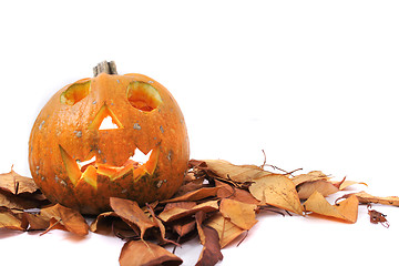 Image showing halloween pumpkin