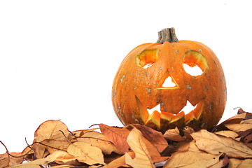 Image showing halloween pumpkin