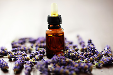 Image showing lavender massage oil