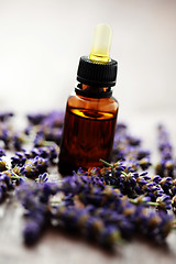 Image showing lavender massage oil