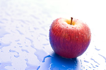 Image showing One wet red apple