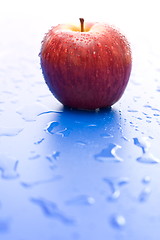 Image showing One wet red apple