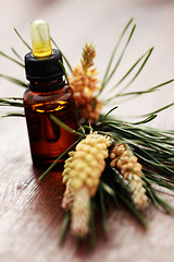 Image showing fir tree essential oil