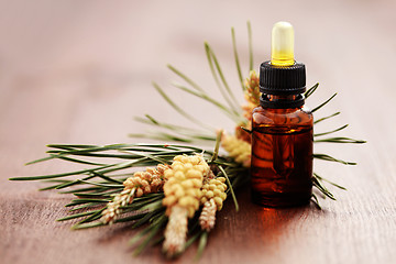 Image showing fir tree essential oil