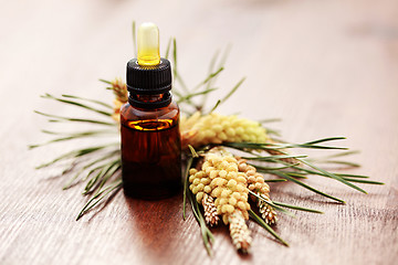 Image showing fir tree essential oil