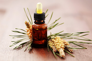 Image showing fir tree essential oil