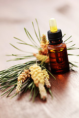 Image showing fir tree essential oil