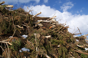 Image showing Wood for Power and Energy