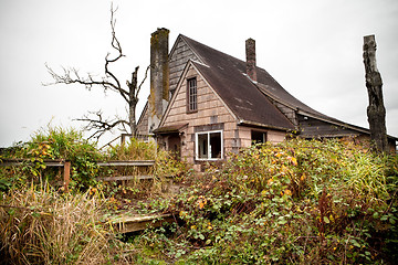 Image showing abandoned overgrown house