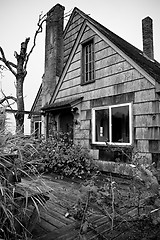 Image showing Abandoned overgrown house