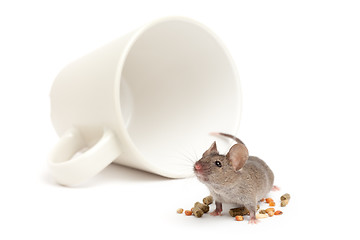 Image showing mouse cup and food isolated