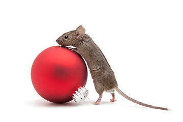 Image showing Christmas mouse and bauble isolated