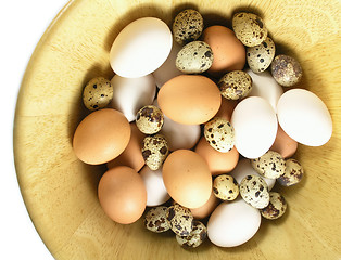 Image showing eggs