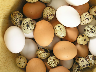 Image showing eggs