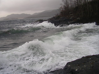 Image showing Waves