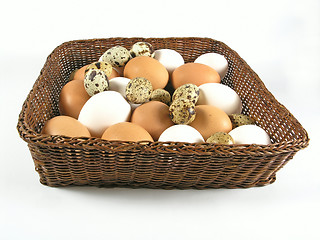 Image showing eggs