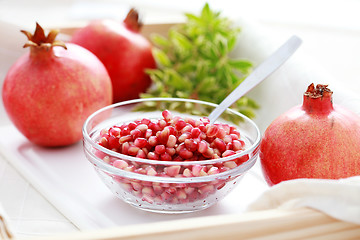 Image showing pomegranate