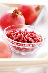 Image showing pomegranate