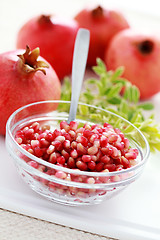 Image showing pomegranate