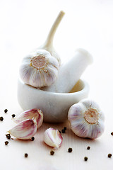 Image showing garlic