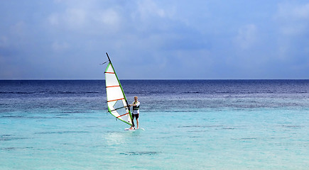 Image showing windsurfer