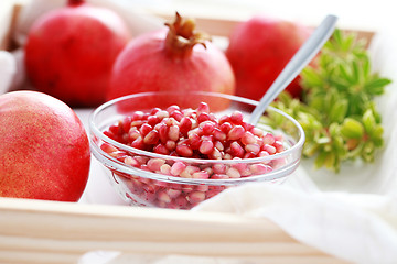 Image showing pomegranate